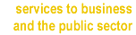 services to business and the public sector